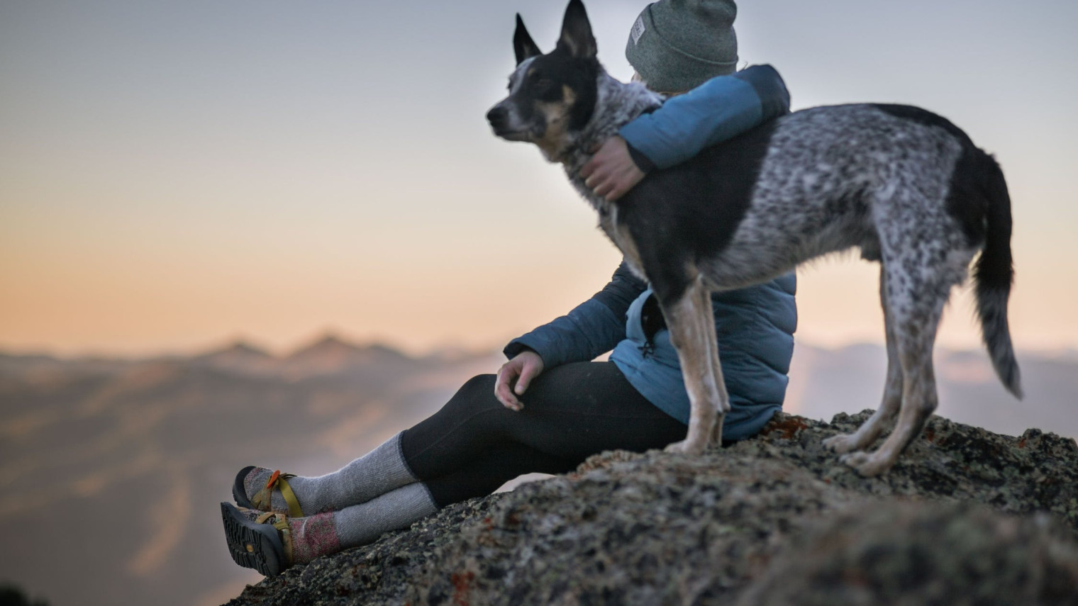 CBNData