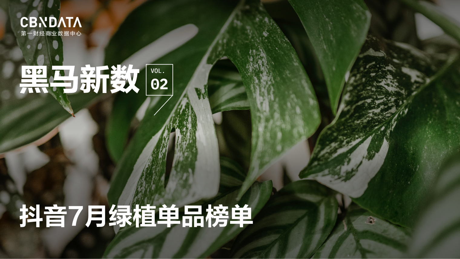 CBNData